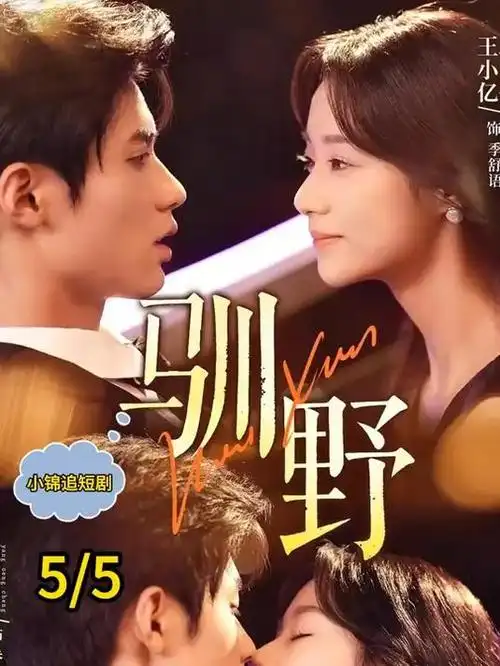 华策影院年代剧《城南旧事新编》海报